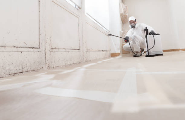 24/7 Emergency Crawl Space Mold Remediation experts in Sedley, VA